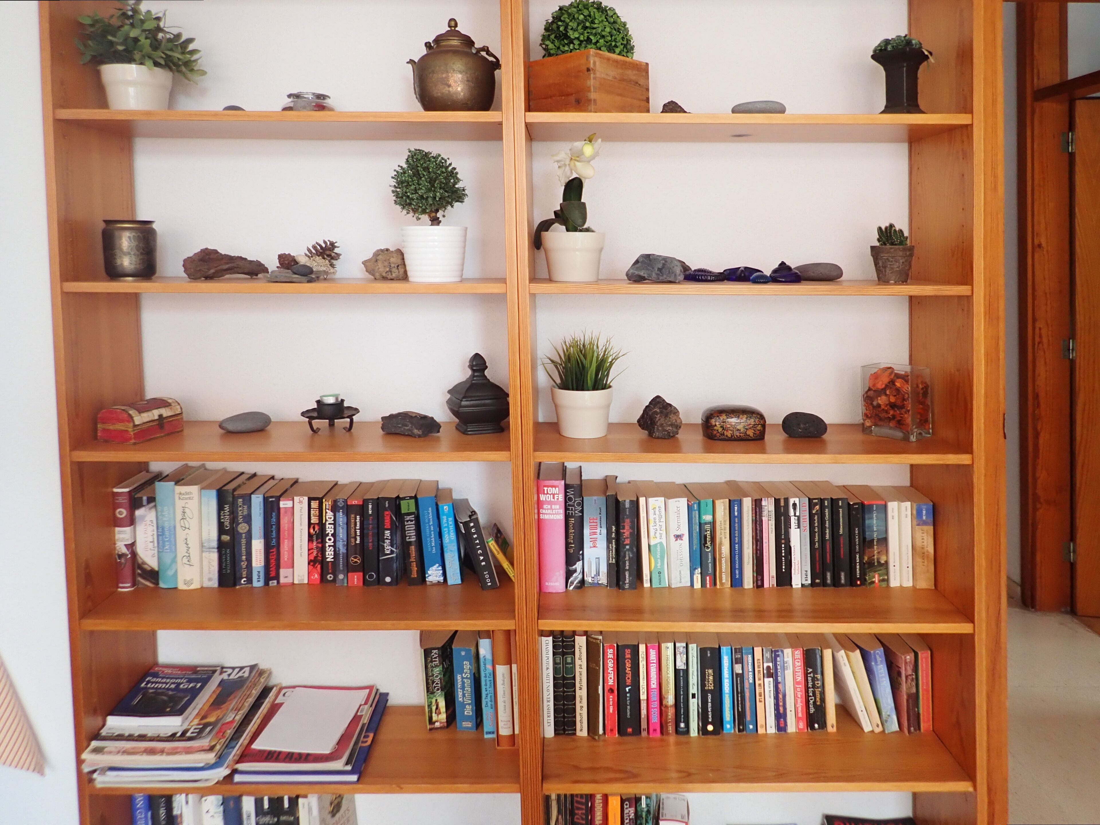 Ein Bücherregal mit Büchern, Dekorationsgegenständen und kleinen Pflanzen.