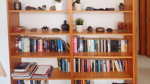 Ein Bücherregal mit Büchern, Dekorationsgegenständen und kleinen Pflanzen.