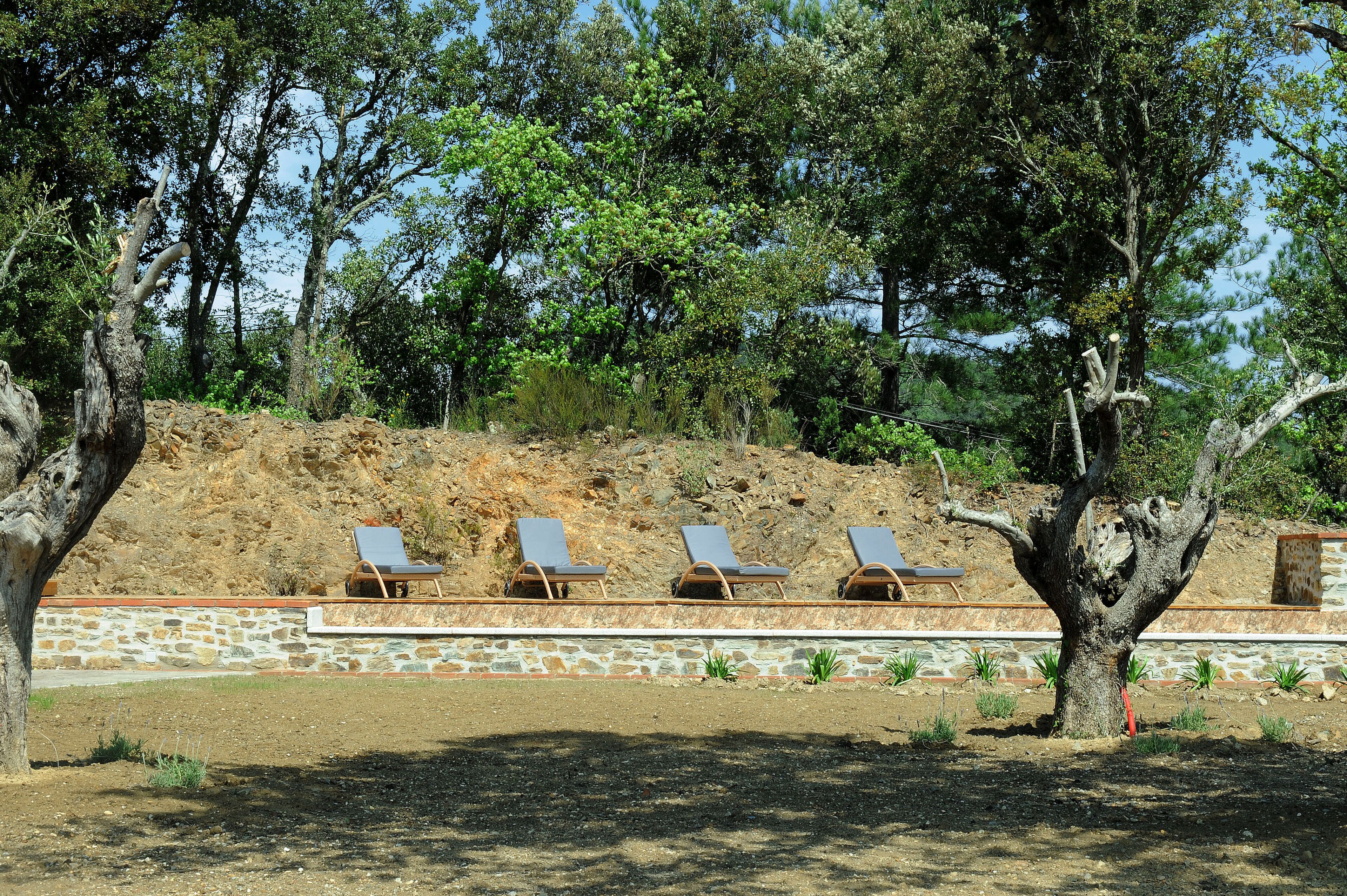 Un área ajardinada con tres sillones de descanso alineados contra una pared de piedra, rodeada de árboles y una ladera rocosa.