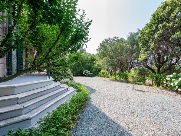 Un camí de grava que condueix a un edifici amb escales i un jardí amb plantes i arbres diversos.