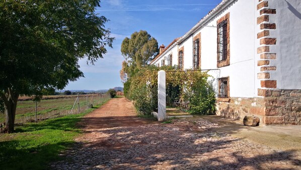Property grounds - Cortijo el Vizconde Nature with Your Children. Cortijo in the meadows of Jaen (Arquillos)