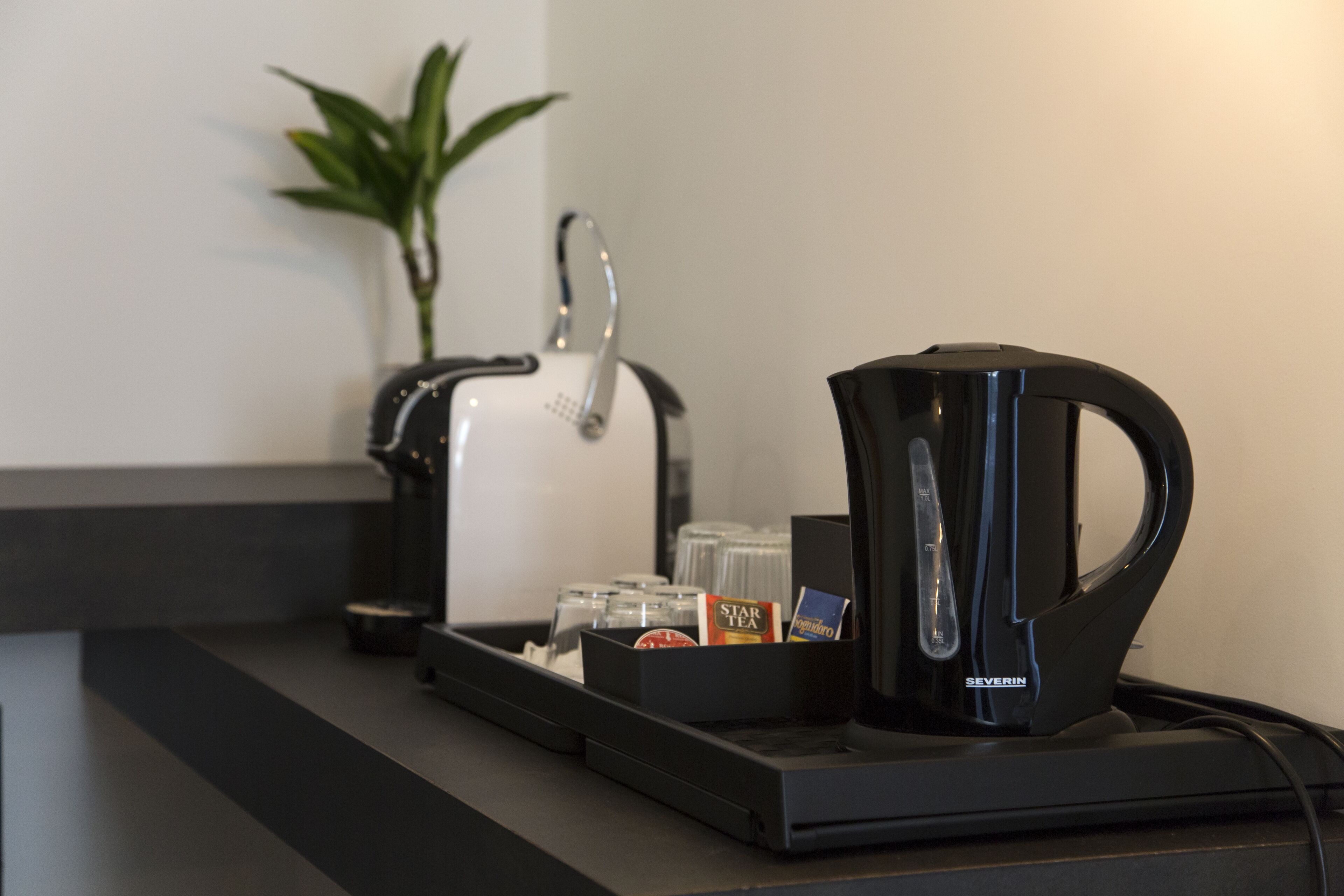 Foto - Plebiscitum 2.0