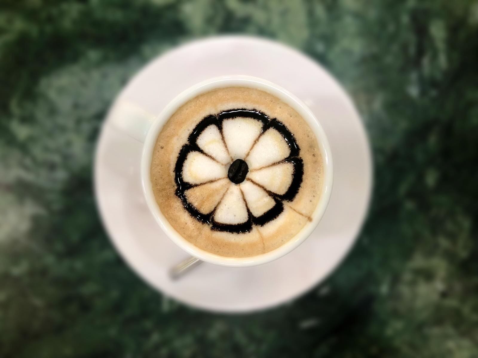 Foto - Plebiscitum 2.0