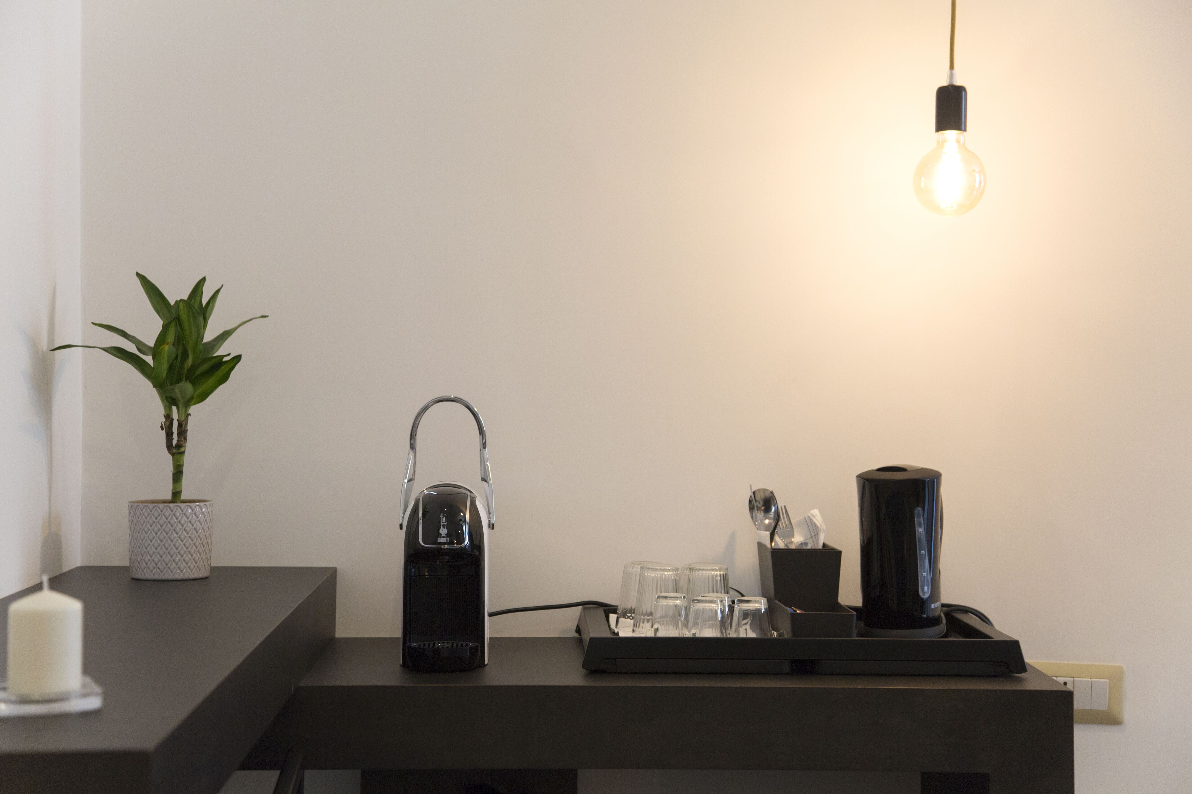 Foto - Plebiscitum 2.0