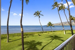 Property grounds - Sugar Beach 217 Front Row Ocean Views in Beautifully Upgraded Beachfront Condo Home (Kihei)