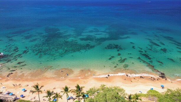 A beach with clear turquoise water, sandy shore, and palm trees. - Maui Vista 3210 Wonderful unit With New Split AC, Low VO and New Paint and Carpet (Kihei)