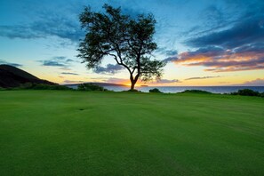 Golf - Maui Vista 3210 Wonderful unit With New Split AC, Low VO and New Paint and Carpet (Kihei)