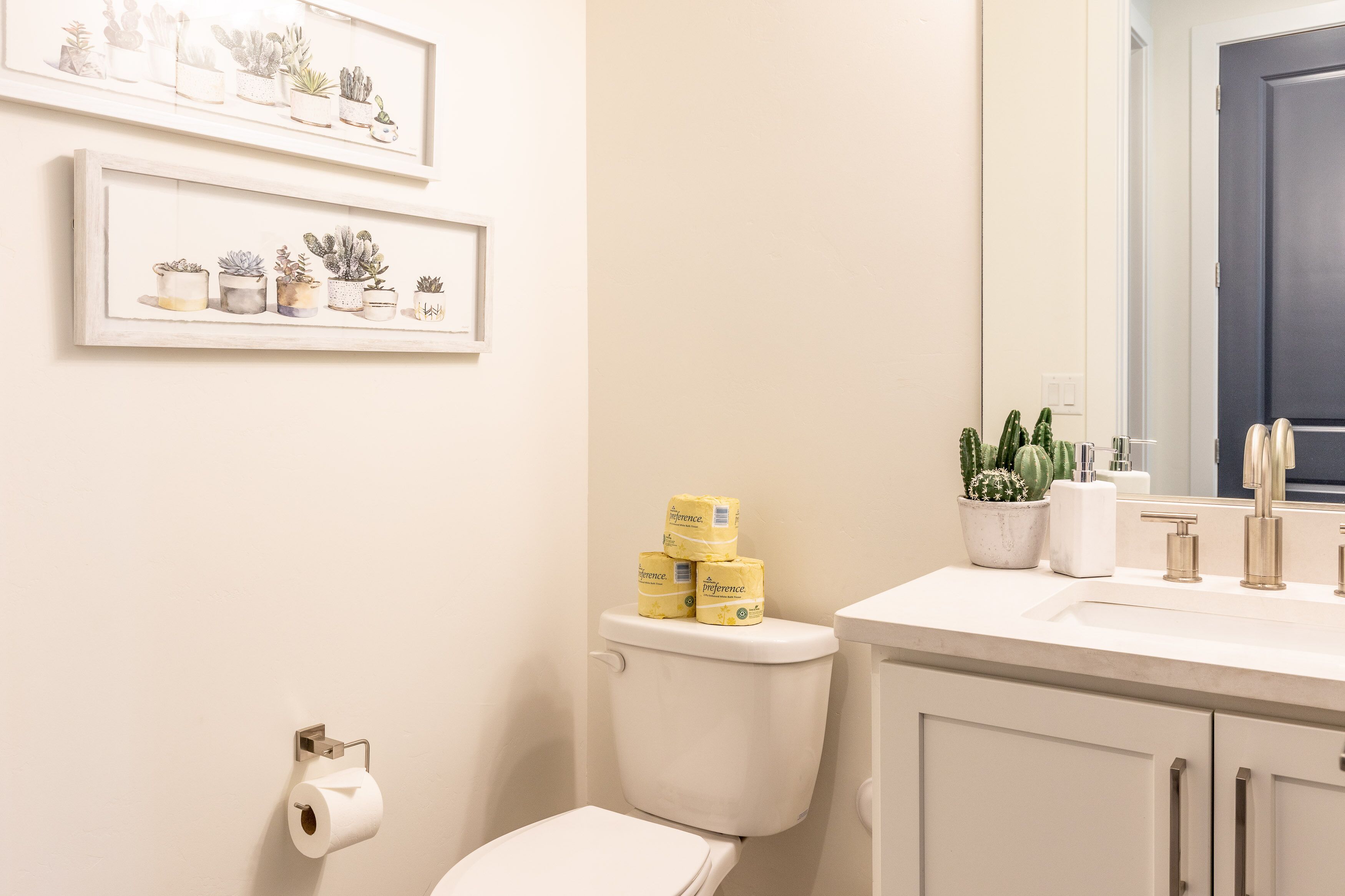 A bathroom with a toilet, a sink, and a mirror. There are framed pictures on the wall and a cactus on the sink.
