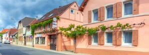 Front of property - Hotel-Pension Altes Weinhaus (Neustadt an der Weinstrasse)