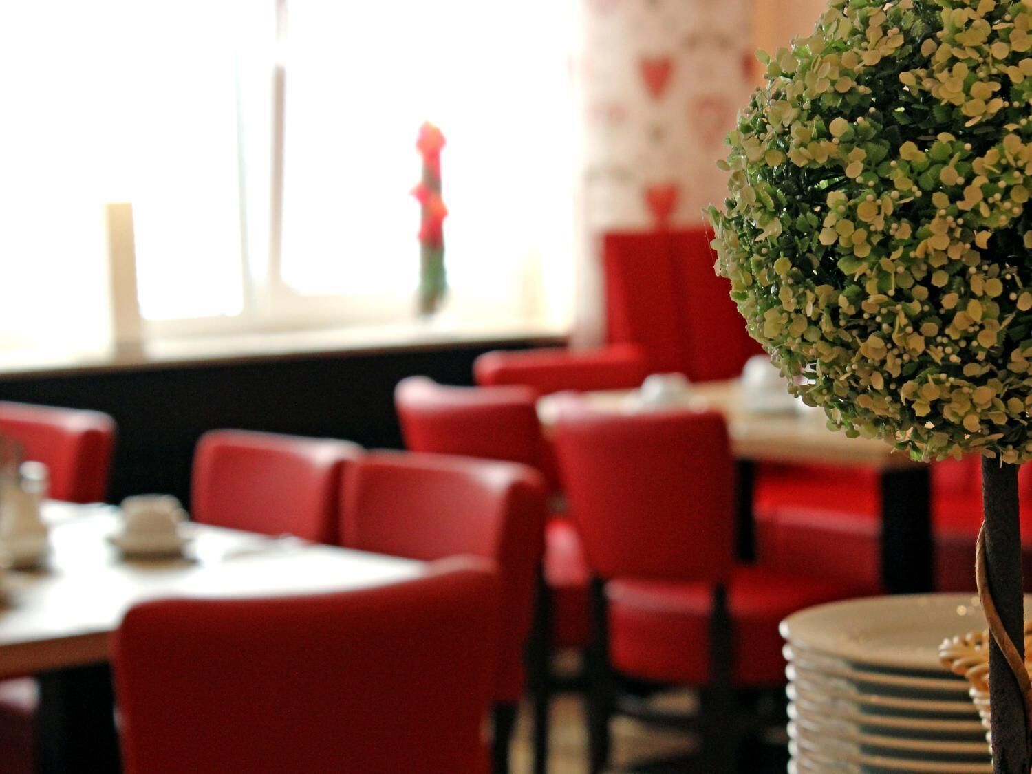 A restaurant interior with red chairs and tables, a decorative plant, and a window with a view.