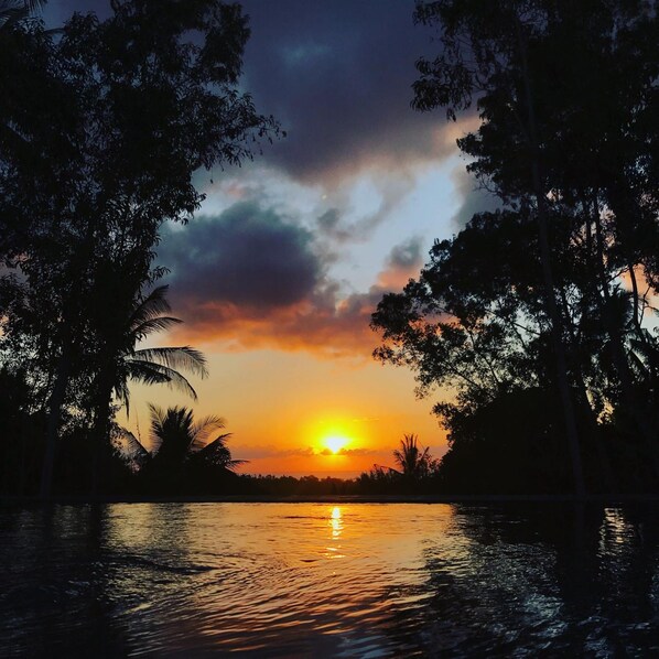 Un atardecer sobre un cuerpo de agua tranquilo, con siluetas de árboles enmarcando la escena.