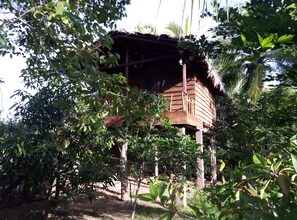 Boomhut | Een bureau, gratis wifi