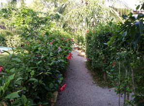 Puumaja | Näkymä puutarhaan