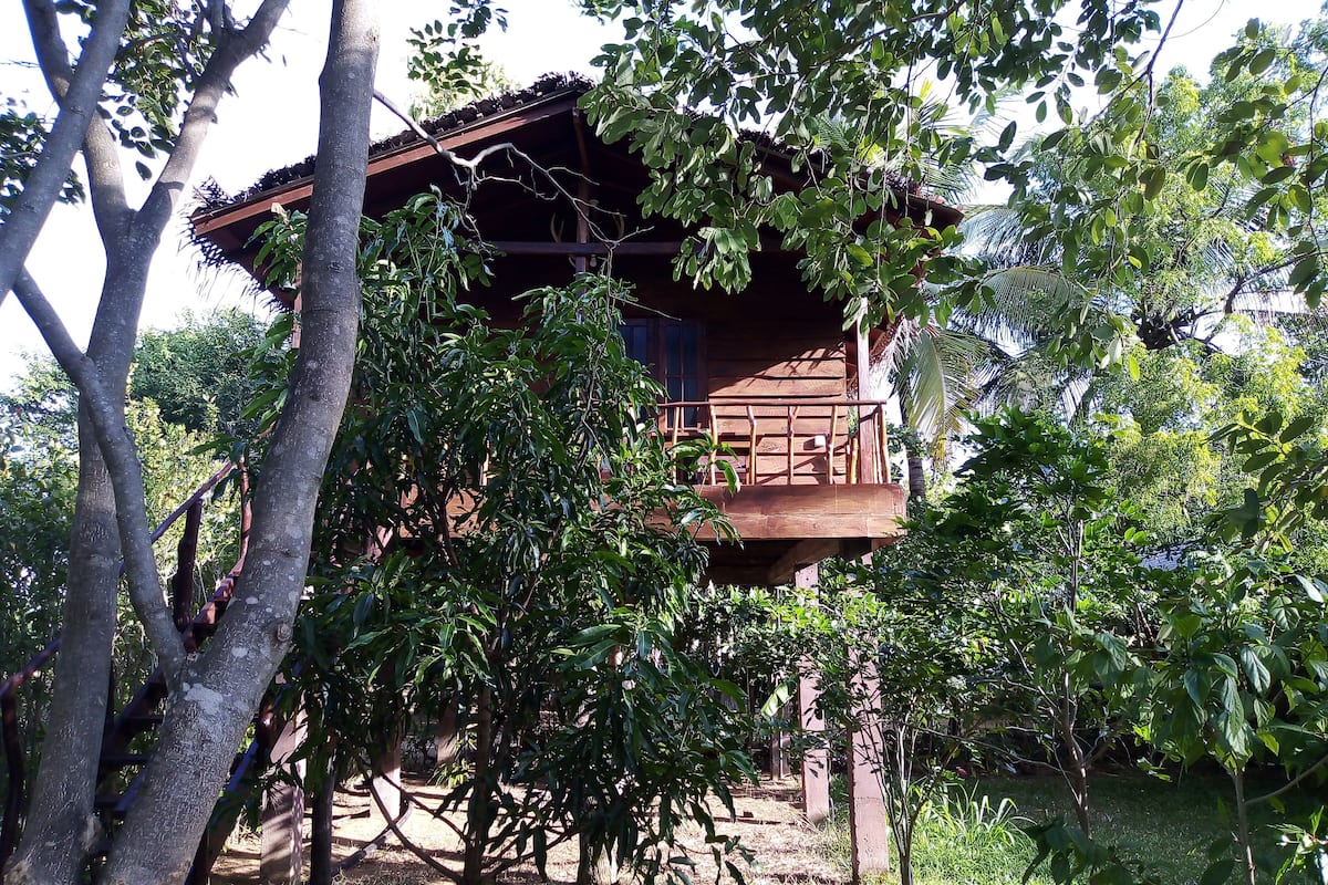 Rumah Pohon | Meja kerja dan Wi-Fi gratis