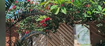 포르토 플라자 포자다