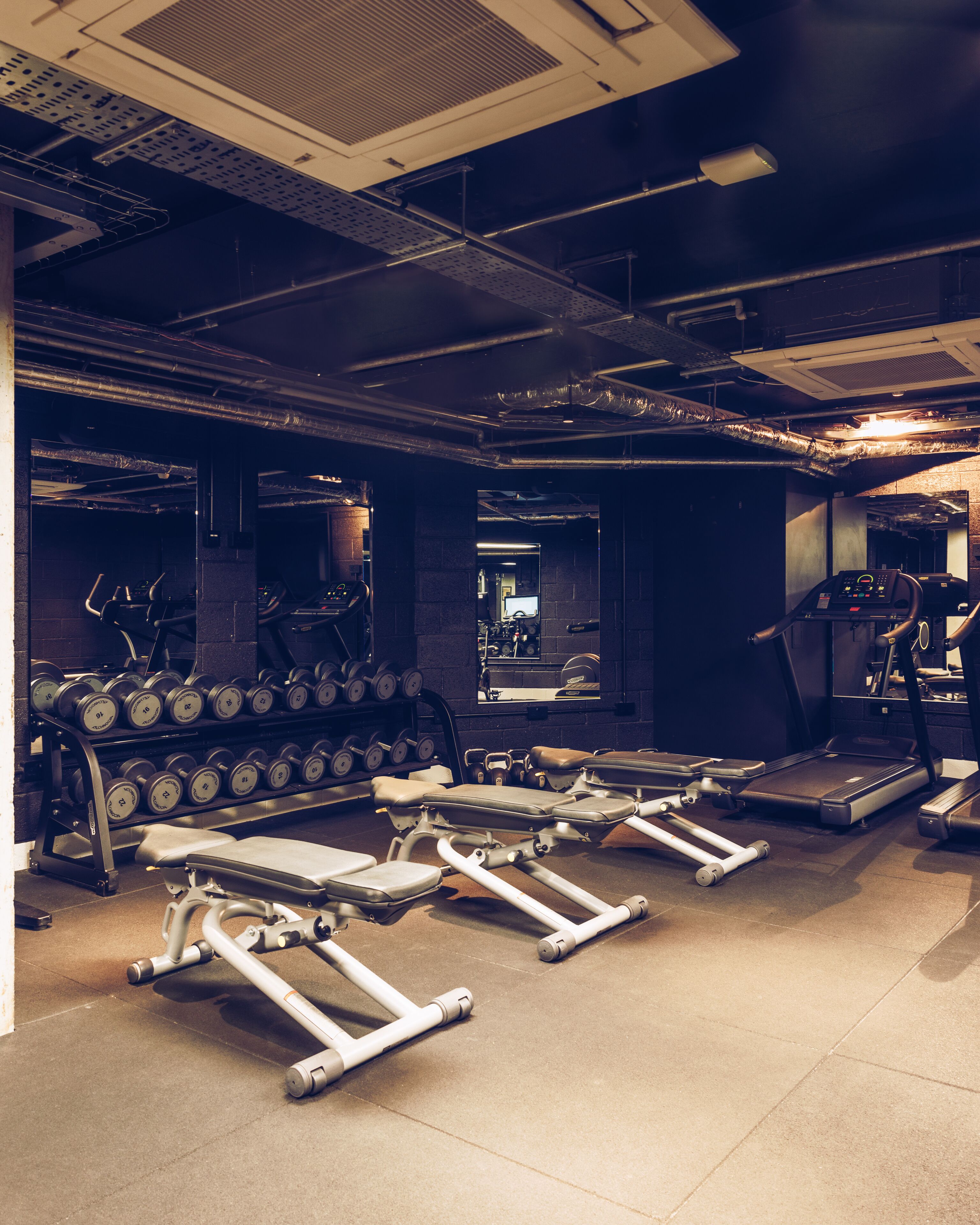 Ein Fitnessstudio mit Laufbändern, Kraftgeräten und Kurzhanteln.