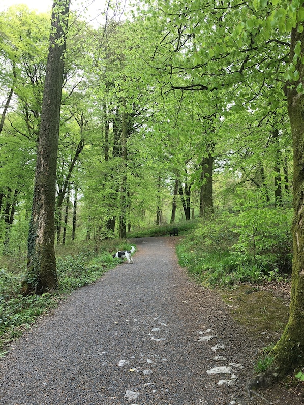 Terrein van de accommodatie