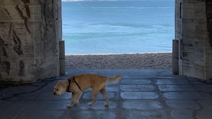 Arcada de pedra que dá para uma vista da praia, com um cão a passear.