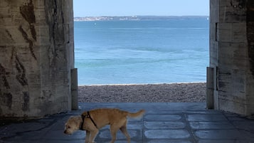 Point of interest