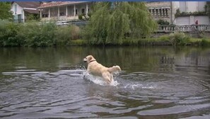 Lago