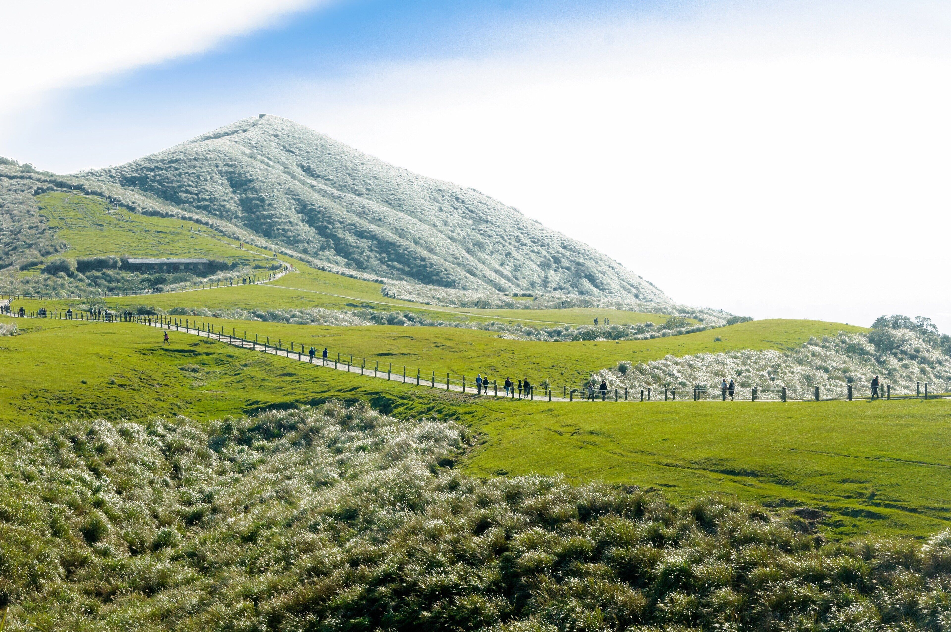 A grassy field with a fence and a hill in the background.