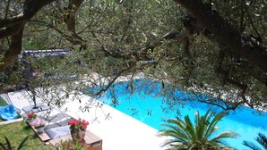 Piscina rodeada de exuberante vegetación y mobiliario exterior.