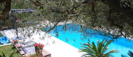 Sesongbasert utendørsbasseng, bassengparasoller og solsenger