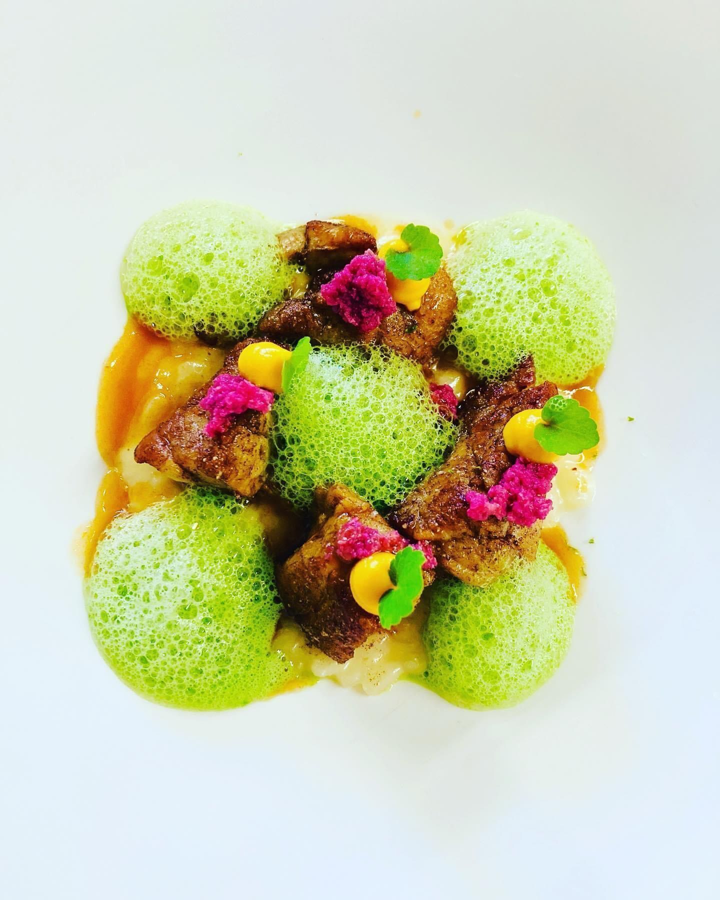 A dish with green spheres, meat, and pink garnish on a white plate.