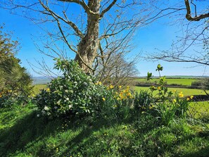 Property grounds - 3 bedroom accommodation in Dihewyd, near Aberaeron (Dihewyd, near Aberaeron)