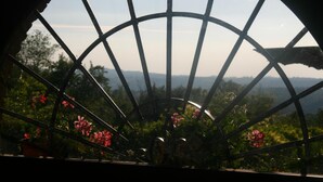 Blick durch ein Metallfenster auf Grünflächen und Hügel in der Ferne.