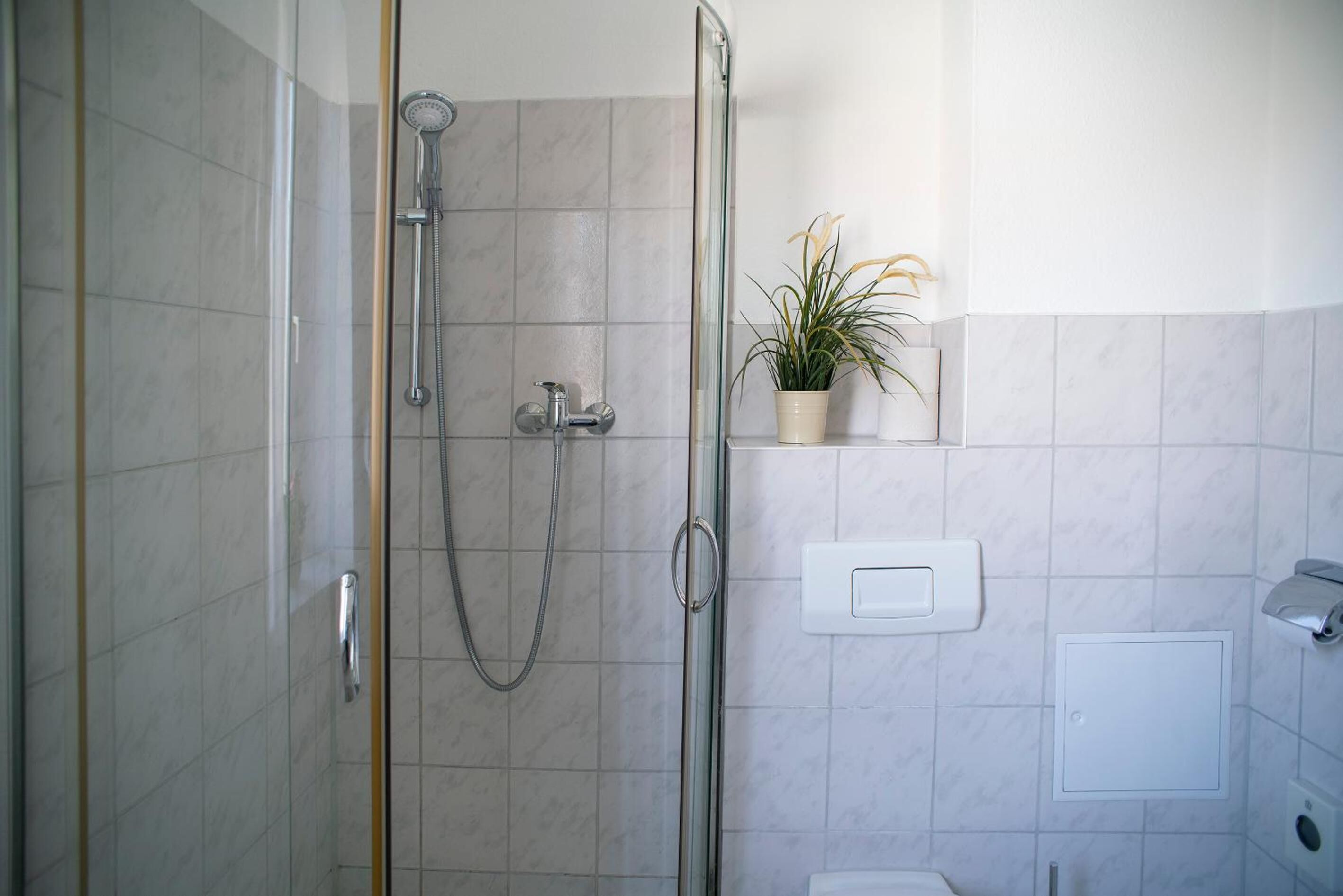 Un baño moderno con ducha envuelta en vidrio, una planta en maceta sobre una estantería y un inodoro con palanca.