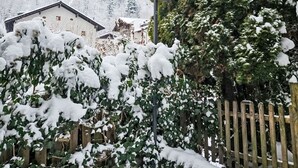 A snow-covered garden with ivy and a wooden fence. - Wonderful private villa for 10 guests with WIFI, TV and terrace (Zell Am See)