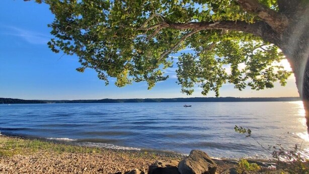 Une vue sur le lac, avec un arbre offrant de l’ombre, une eau calme et un bateau au loin.