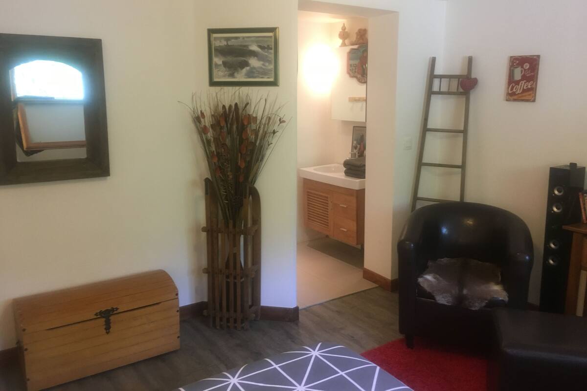 Una sala de estar con un cofre de madera, una silla negra, un tapete rojo, un armario de madera y un cuadro enmarcado en la pared.
