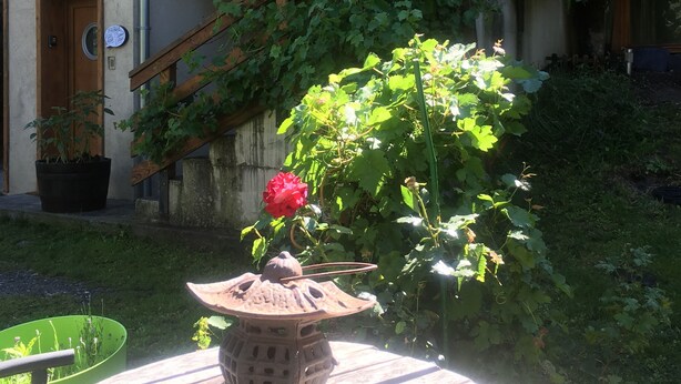A wooden staircase leading to a balcony with potted plants, a stone lantern, and a red flower.
