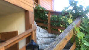 A wooden staircase with a lantern at the bottom, surrounded by greenery.