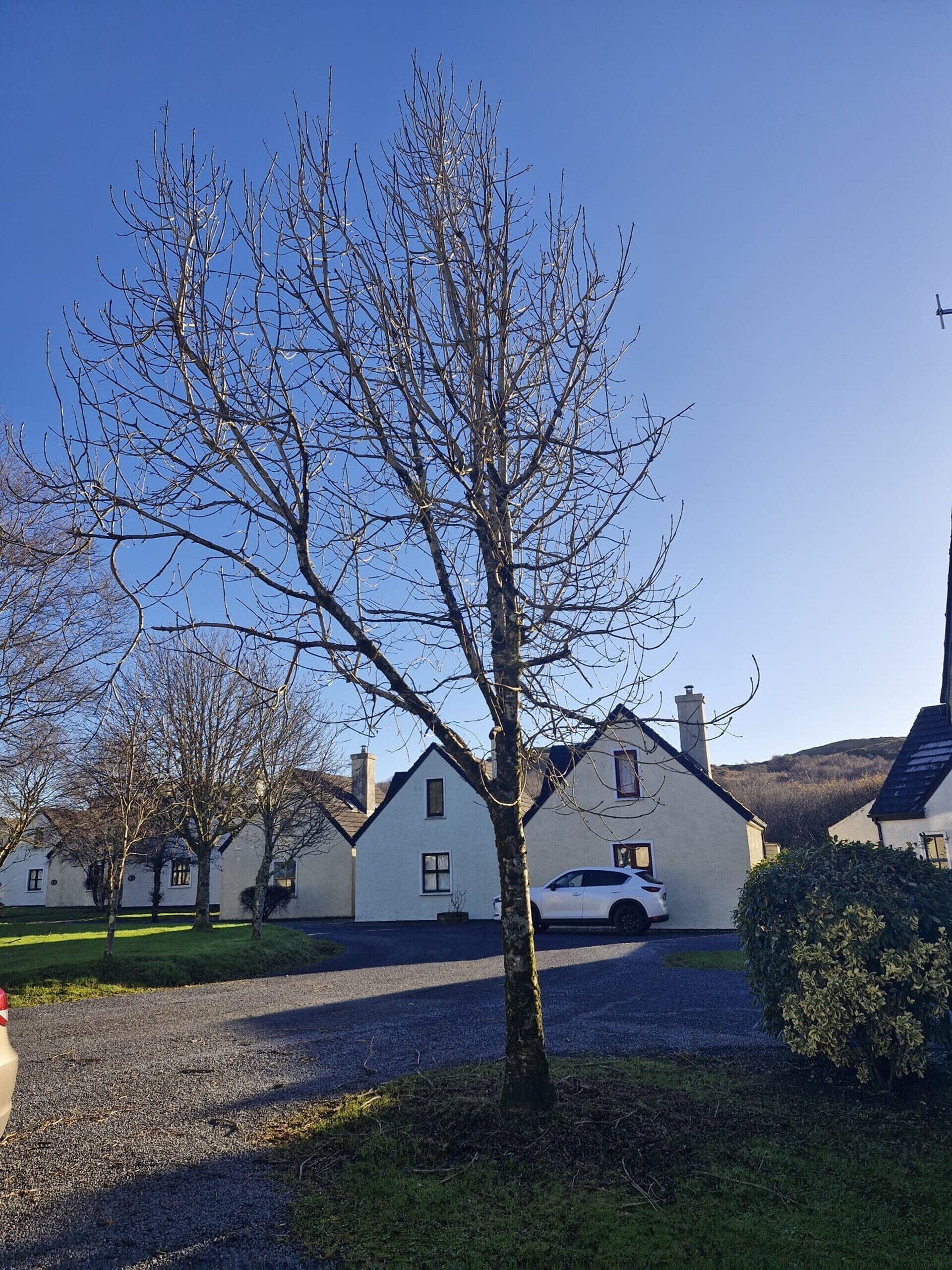 Áreas de la propiedad