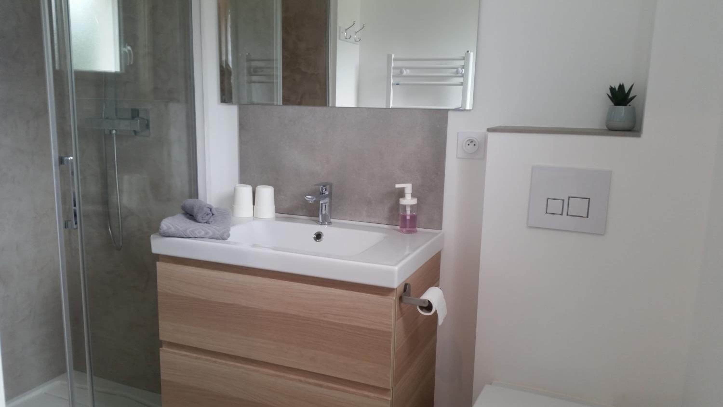 Une salle de bain moderne avec une douche à l’italienne en verre, un lavabo blanc avec un meuble-vasque en bois et un miroir au-dessus du meuble-vasque.