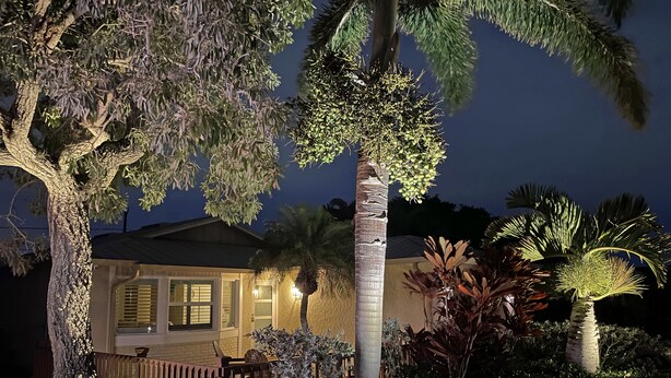 A house with a wooden deck, a palm tree, and a well-lit front yard at night. - Top‘s Naples Park Home, sleeps 6 adults + toddlers, close to beach, near all! (Naples)