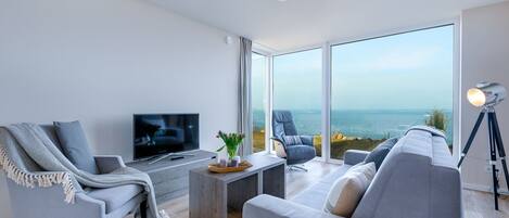 Télévision, cheminée, chaîne hi-fi