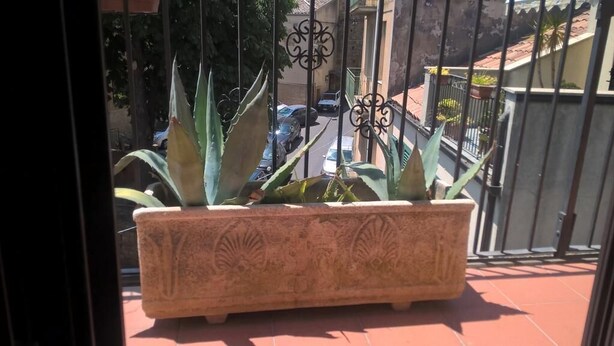 A rectangular stone planter with decorative carvings, placed on a tiled patio. - La Dea Bendata (Piazza Armerina)