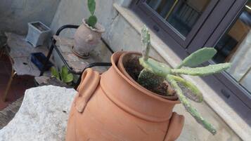 Ein Terrakotta-Topf mit einem Kaktus auf einer Steinoberfläche, eine kleinere Topfpflanze und im Hintergrund ein Fenster mit Jalousien.