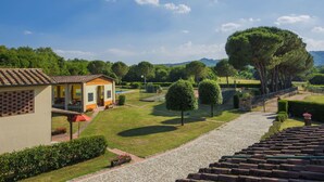 A villa with a swimming pool, surrounded by well-maintained gardens and trees. - Cosy apartment in villa for 7 people with pool, WIFI, TV and pets allowed (Bucine)