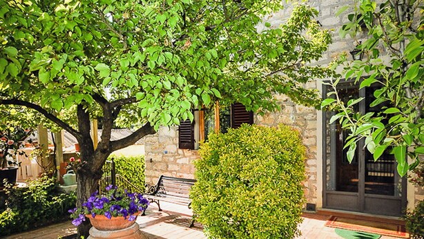 A courtyard with a large tree, a potted plant with purple flowers, a bench, and a stone wall.