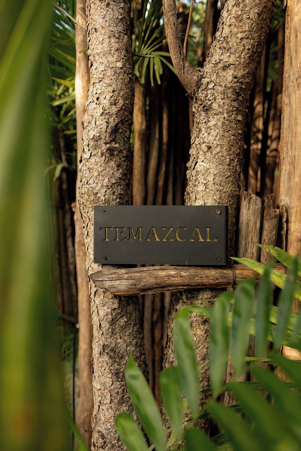 A wooden sign with the name "TEMAZCAL" mounted on a tree trunk.