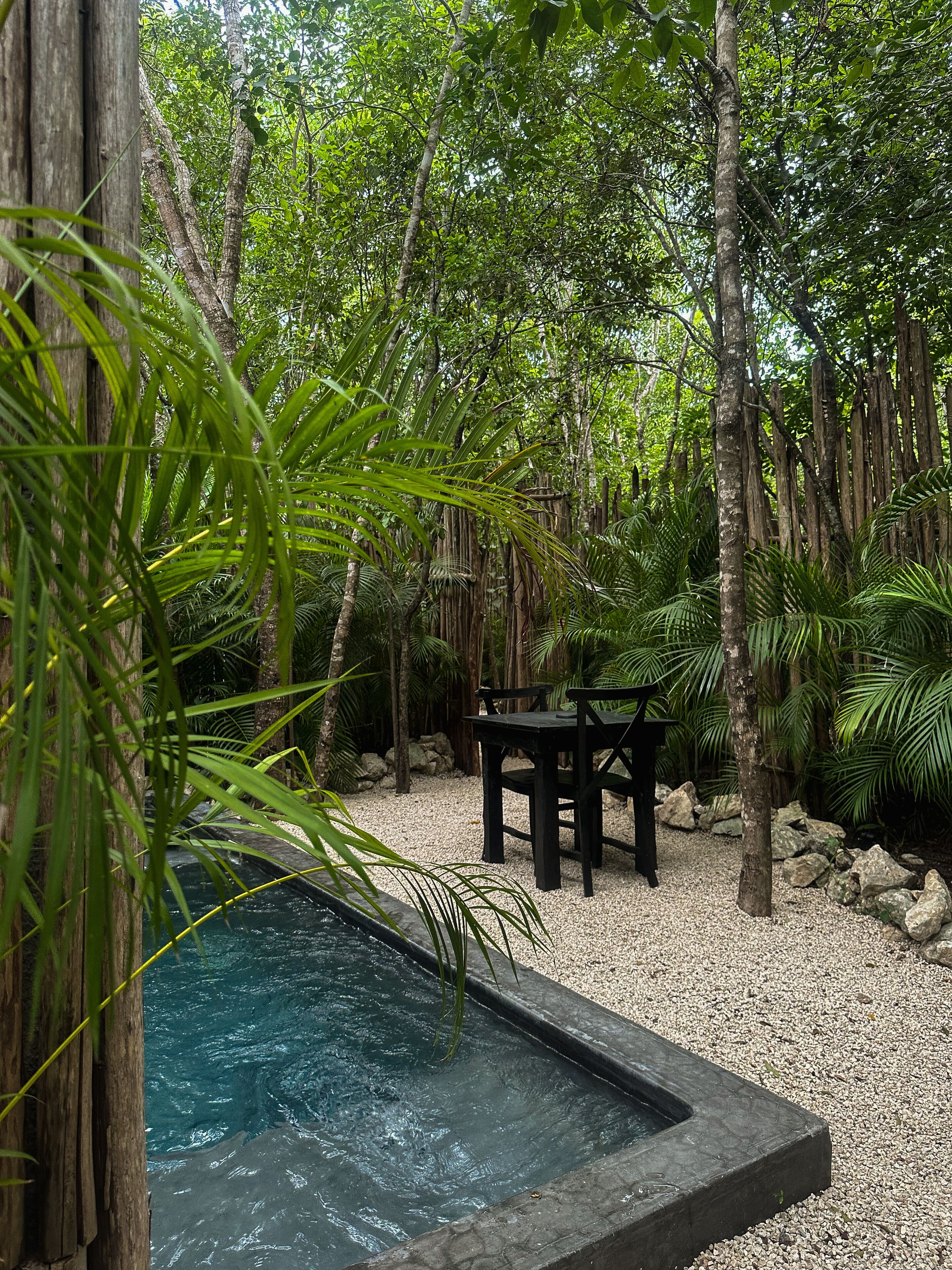 A serene outdoor area with a rectangular pool surrounded by pebbles, dense tropical foliage, and a wooden table and chair.