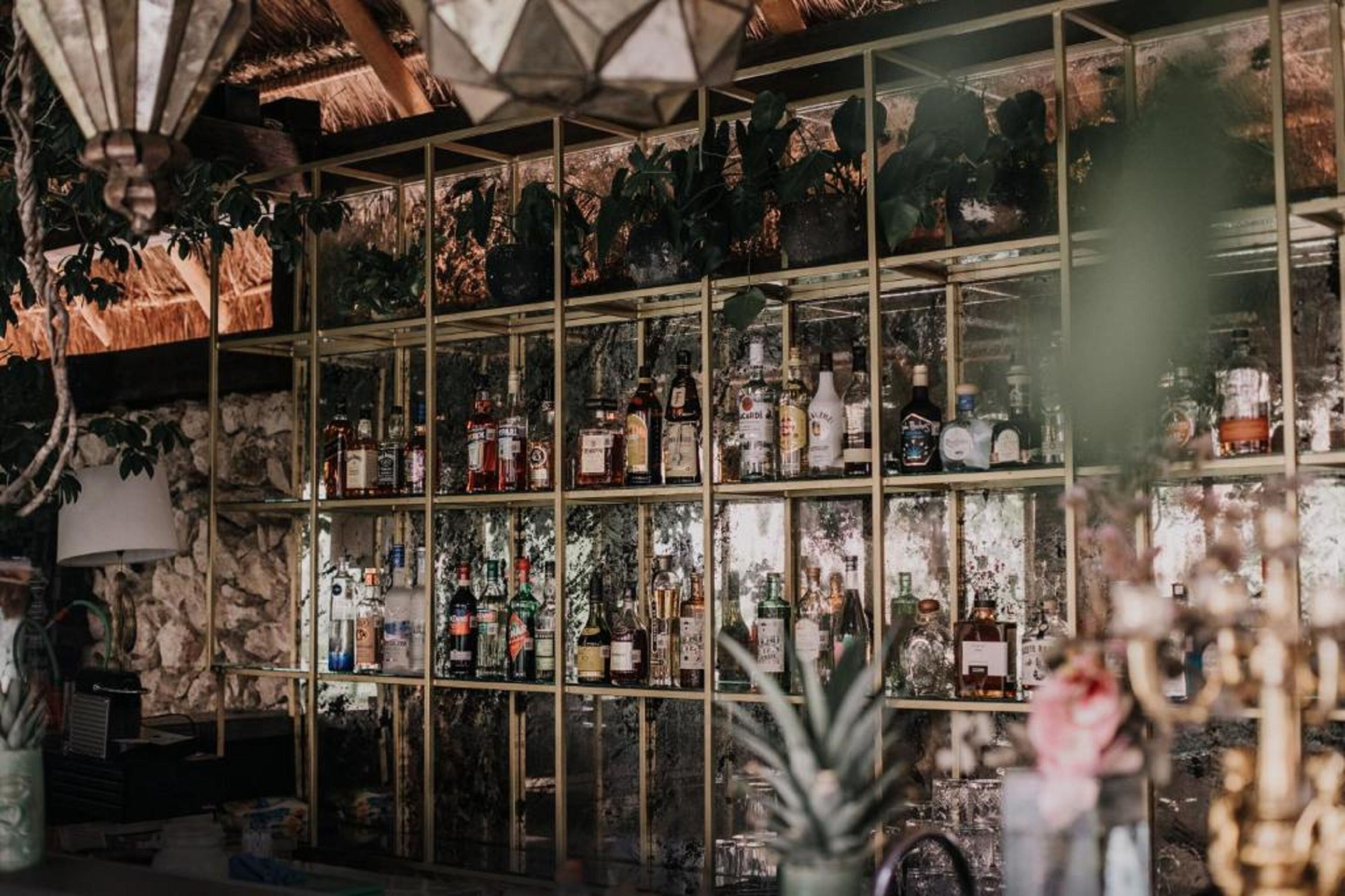 Un espace bar avec des étagères remplies de différentes bouteilles d’alcool, un mur en pierre et des plantes suspendues.