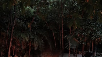 A stone fire pit surrounded by lounge chairs in a tropical garden setting.