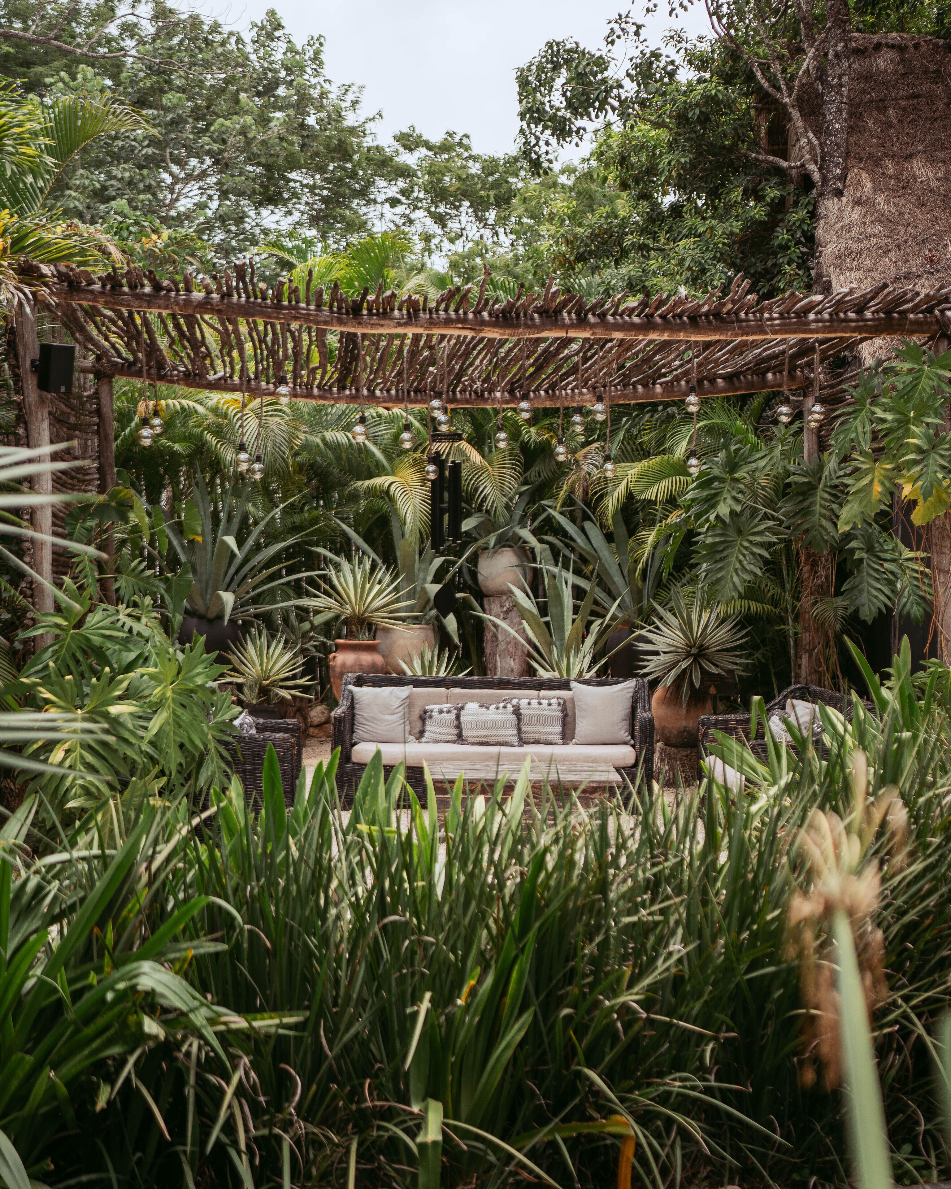 A lush garden with a wicker sofa and potted plants.
