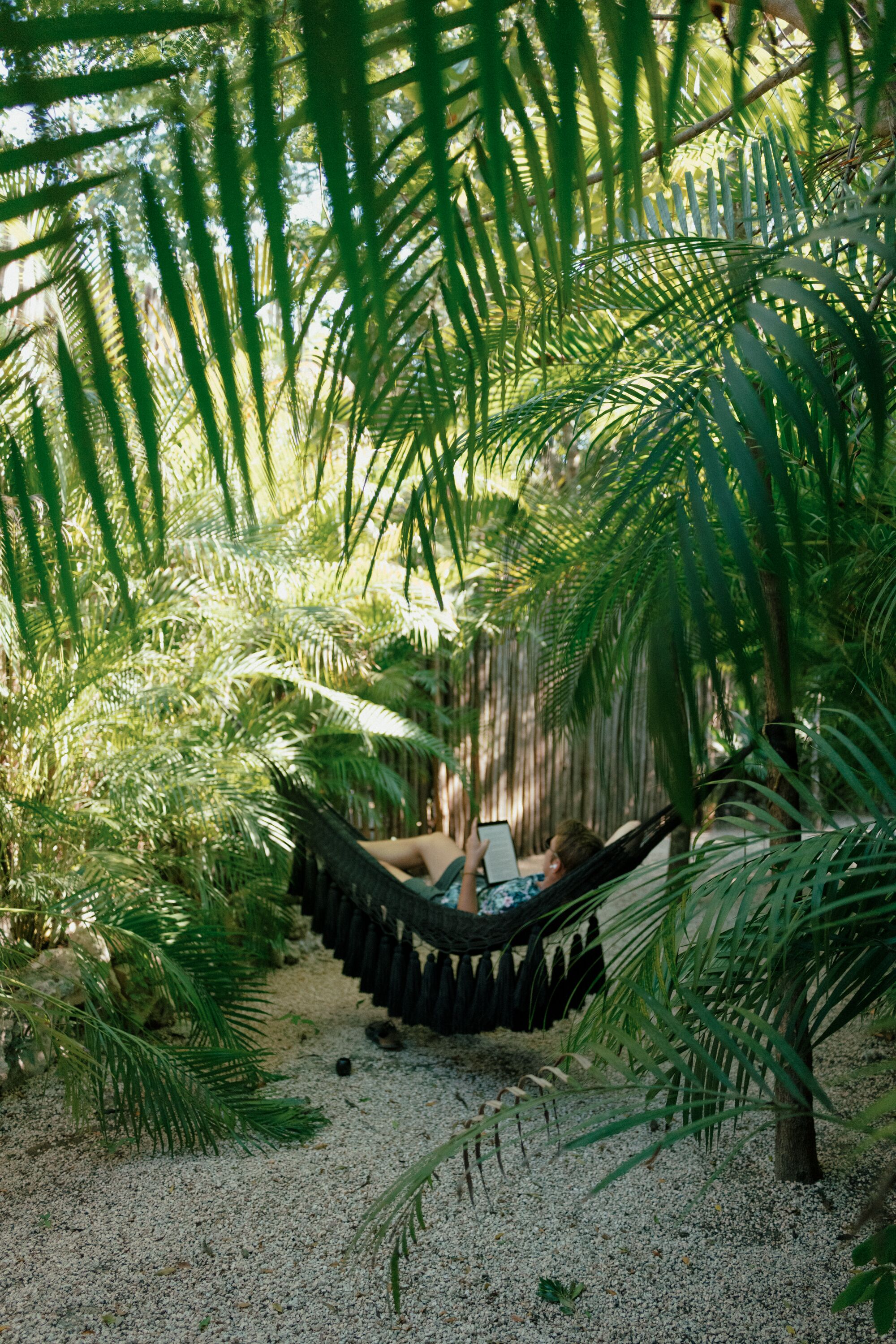 A hammock in a lush garden with palm trees and a gravel path.